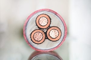 Cross,Section,Of,High-voltage,Cable.,Thick,Copper,Veins,Are,Surrounded