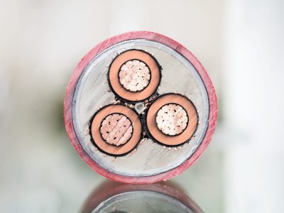 Cross,Section,Of,High-voltage,Cable.,Thick,Copper,Veins,Are,Surrounded