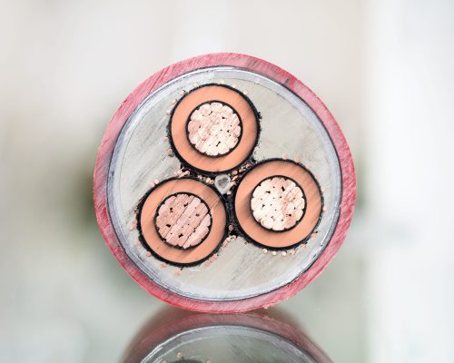 Cross,Section,Of,High-voltage,Cable.,Thick,Copper,Veins,Are,Surrounded