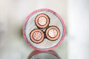 Cross,Section,Of,High-voltage,Cable.,Thick,Copper,Veins,Are,Surrounded