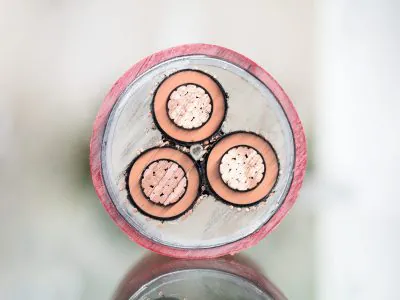 Cross,Section,Of,High-voltage,Cable.,Thick,Copper,Veins,Are,Surrounded